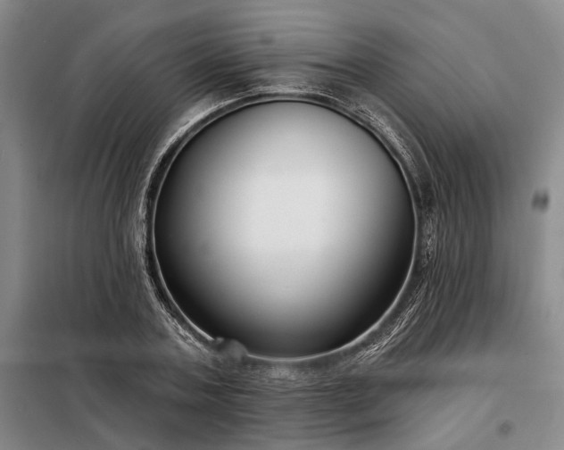 X0000098210787200805011209