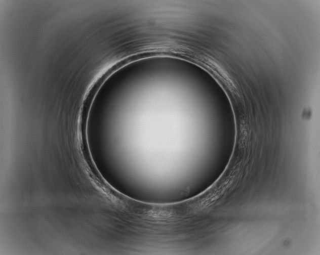 X0000098210788200805011209