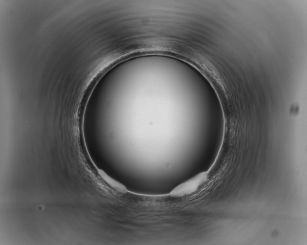 X0000098210789200805011209