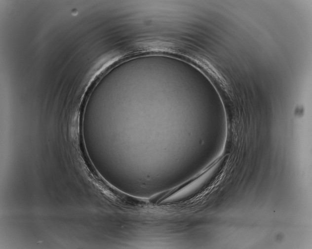 X0000098210790200805011209