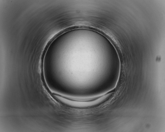 X0000098210791200805011209