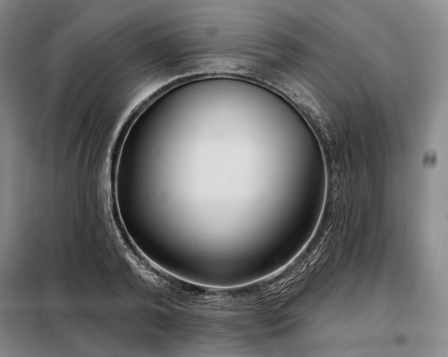 X0000098210792200805011209