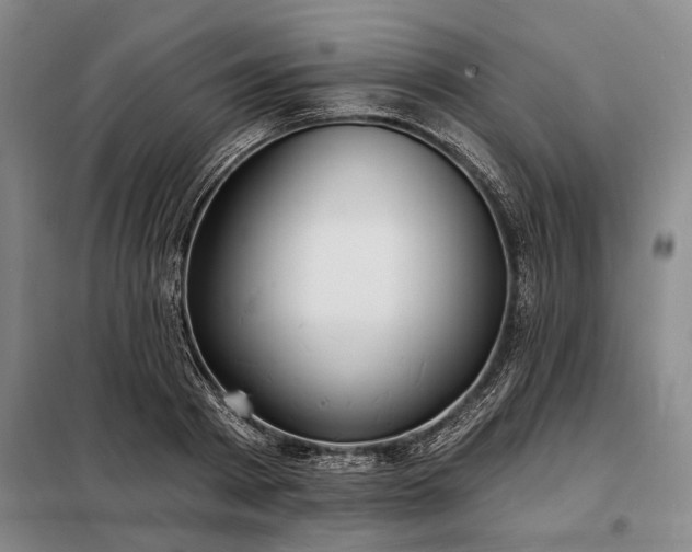 X0000098210793200805011209