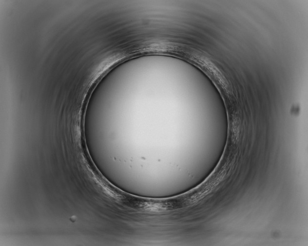 X0000098210794200805011209
