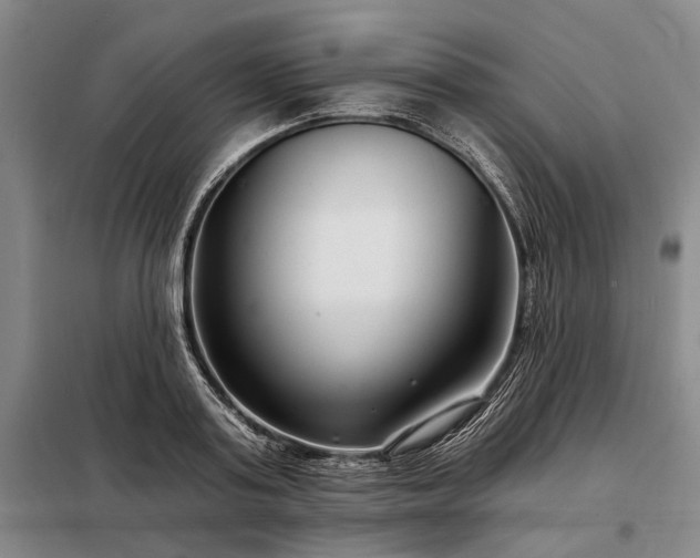 X0000098210795200805011209