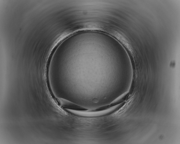 X0000098210797200805011209