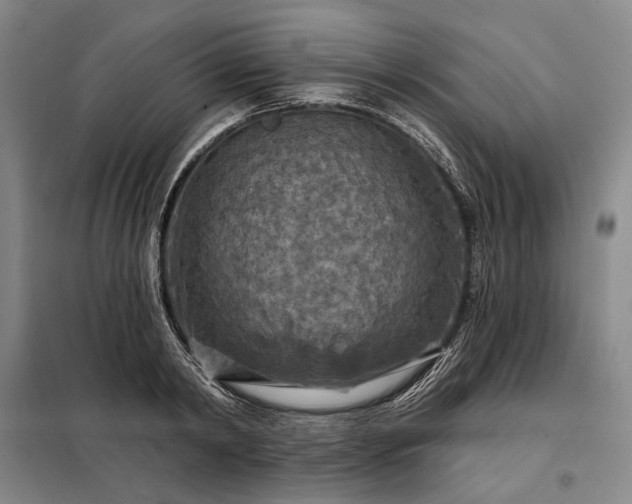 X0000098210798200805011209