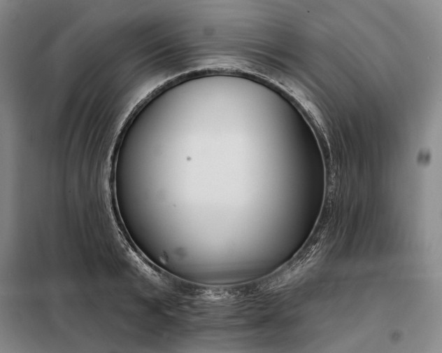 X0000098210799200805011209