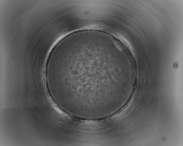 X0000098210800200805011209