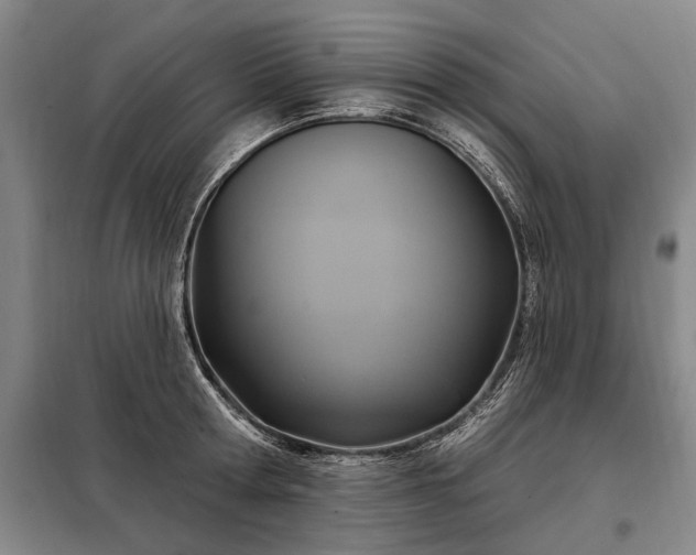 X0000098210802200805011209