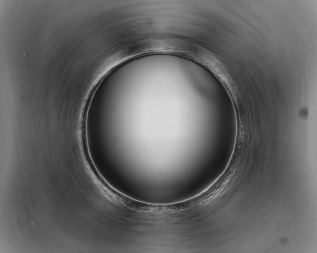 X0000098210803200805011209