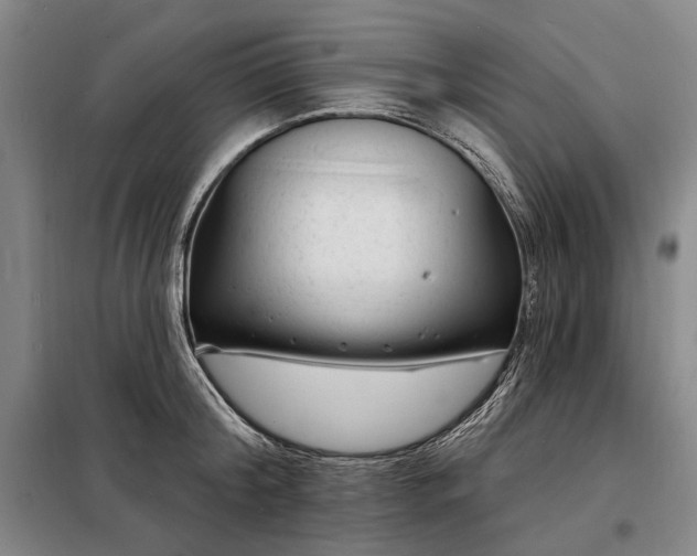 X0000098210804200805011209