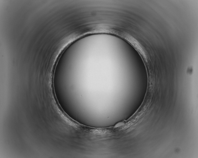 X0000098210805200805011209