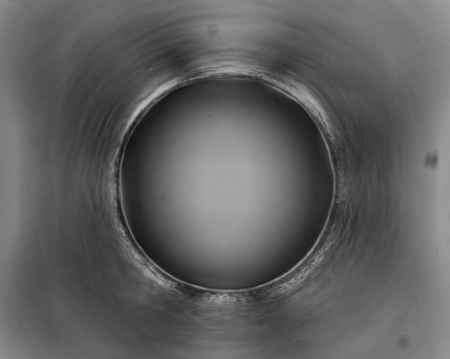X0000098210806200805011209