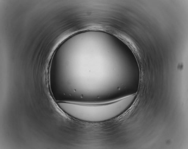 X0000098210808200805011209
