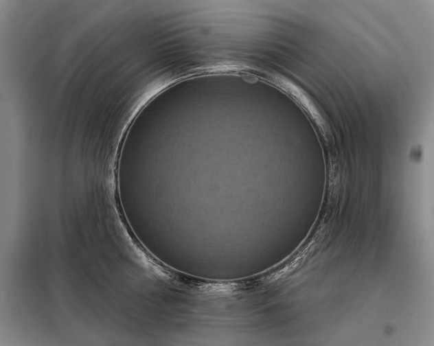 X0000098210810200805011209