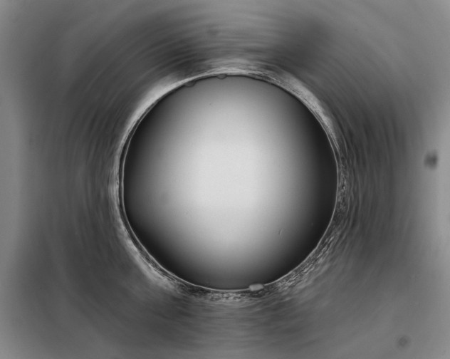 X0000098210811200805011209