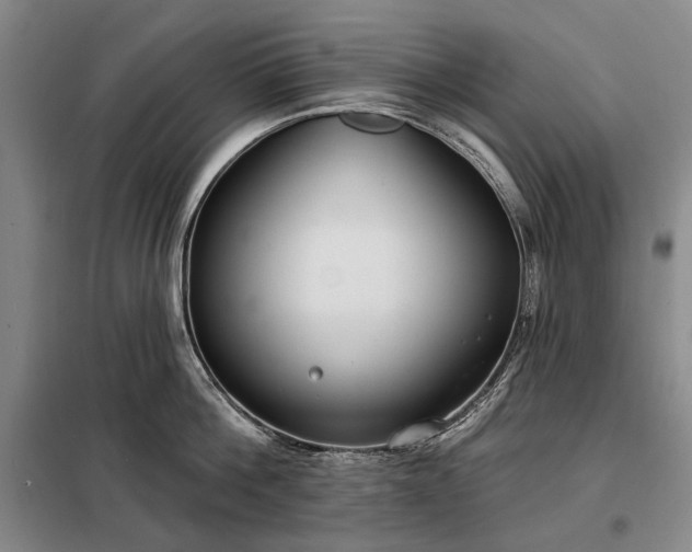 X0000098210812200805011209