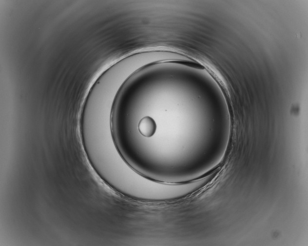 X0000098210813200805011209