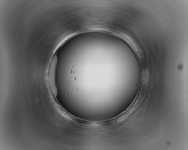 X0000098210814200805011209