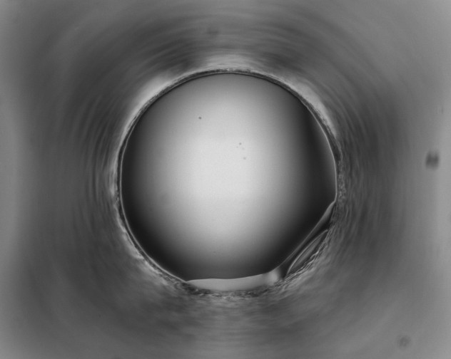 X0000098210815200805011209