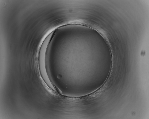 X0000098210816200805011209