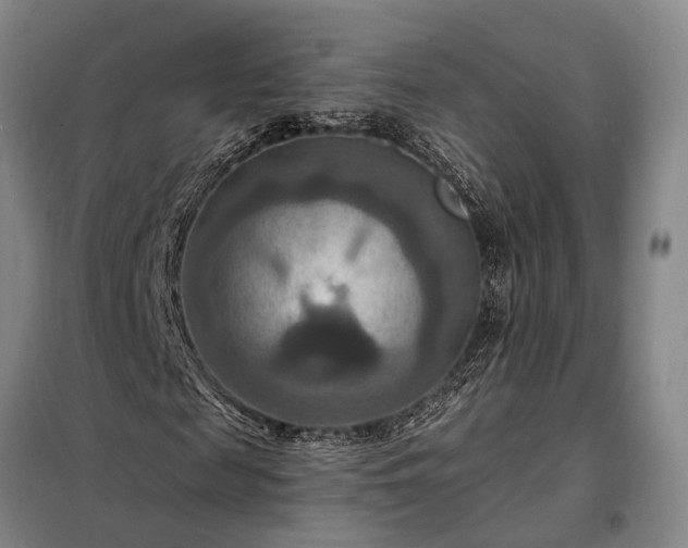 X0000098210817200805011208