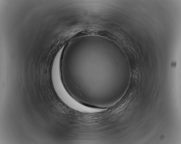 X0000098210818200805011208