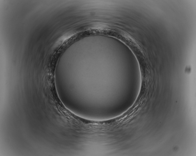 X0000098210822200805011208