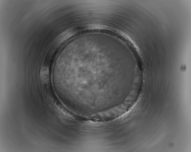 X0000098210825200805011208
