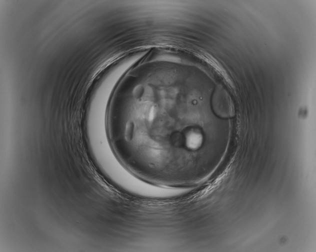 X0000098210826200805011208