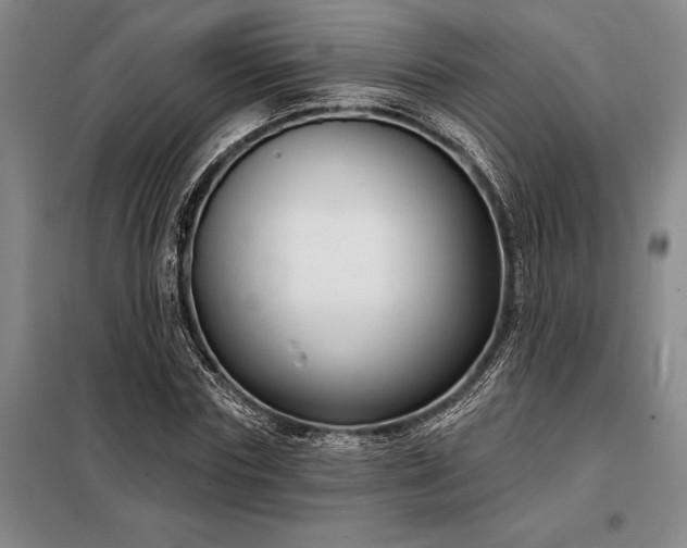 X0000098210827200805011208