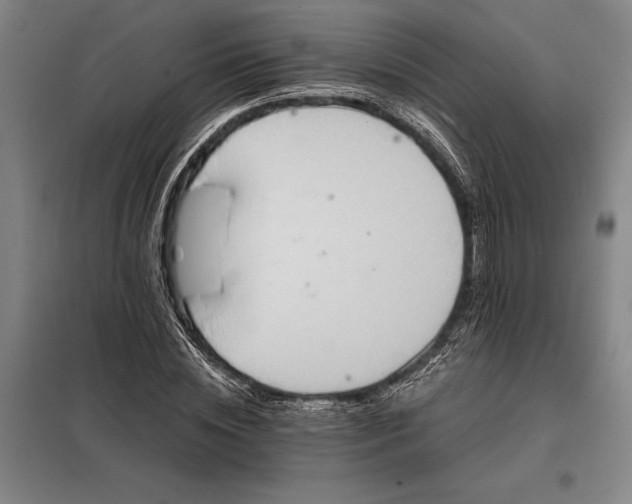 X0000098210828200805011208