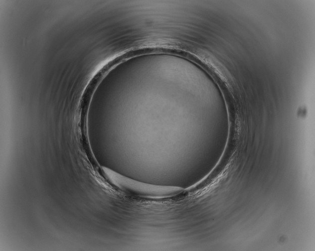 X0000098210830200805011208