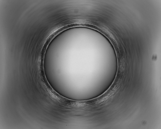 X0000098210831200805011208