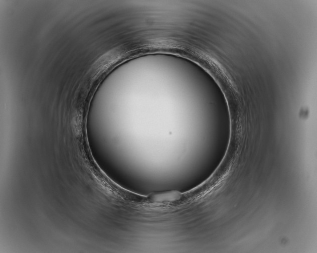 X0000098210833200805011208