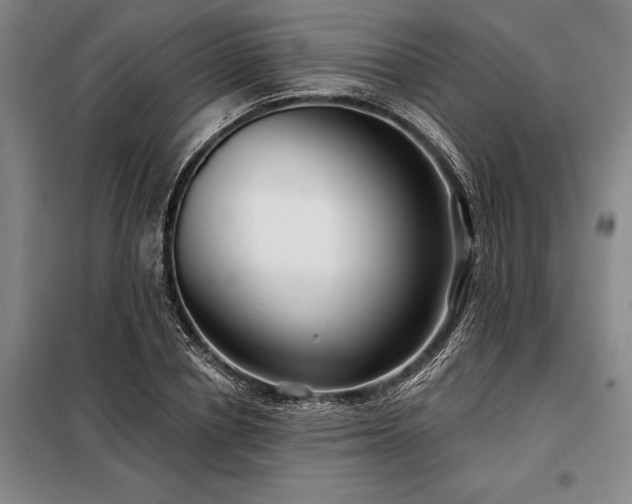 X0000098210834200805011208