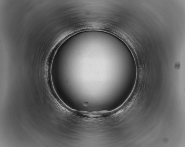 X0000098210835200805011208