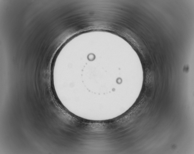 X0000098210836200805011208