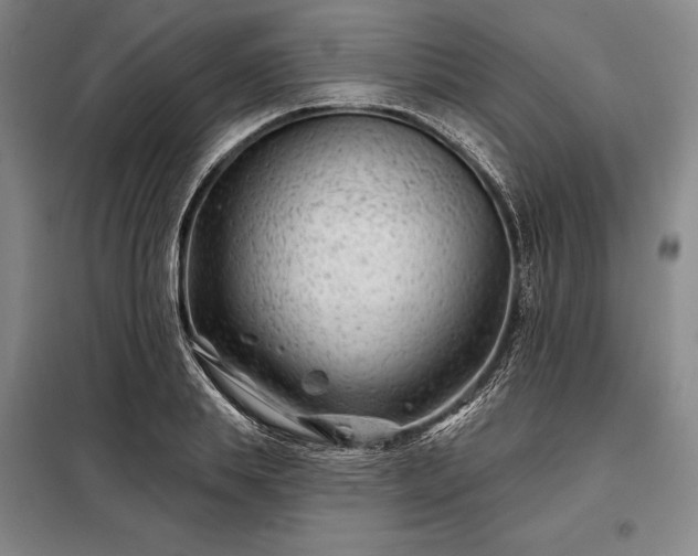 X0000098210839200805011208