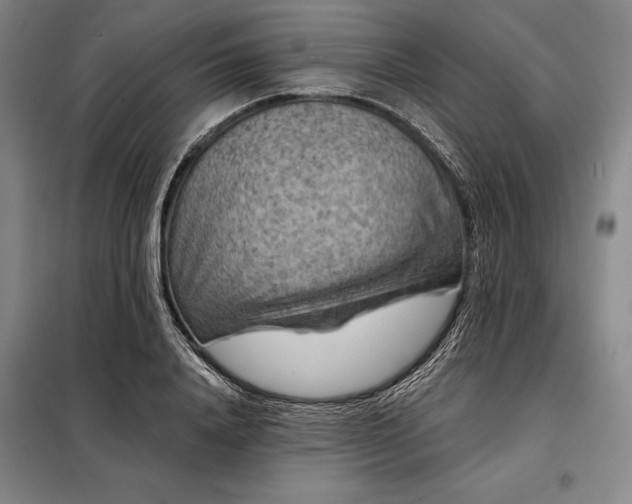 X0000098210840200805011208