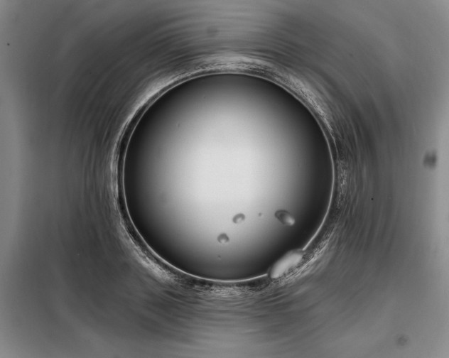 X0000098210843200805011209