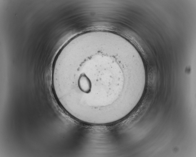 X0000098210844200805011209