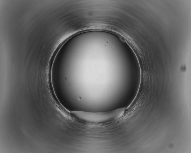 X0000098210846200805011209