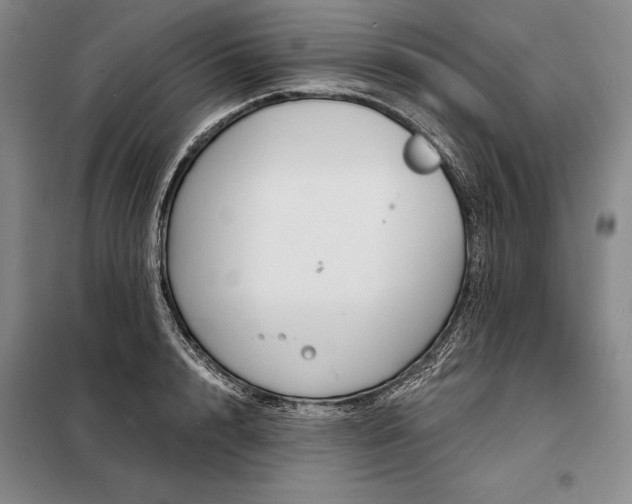 X0000098210848200805011209