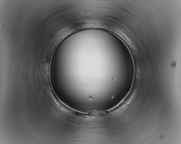 X0000098210849200805011209