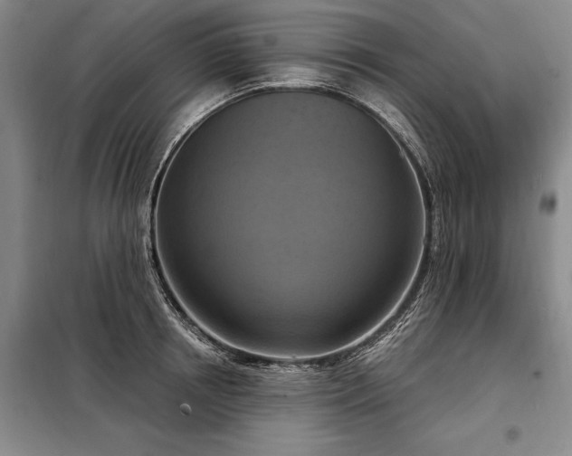 X0000098210850200805011209