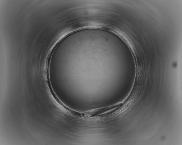 X0000098210851200805011209