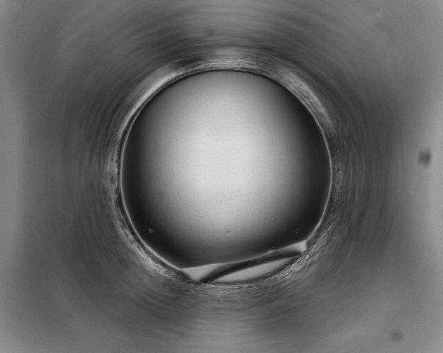 X0000098210852200805011209