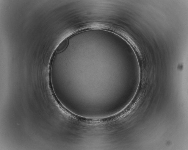 X0000098210853200805011209